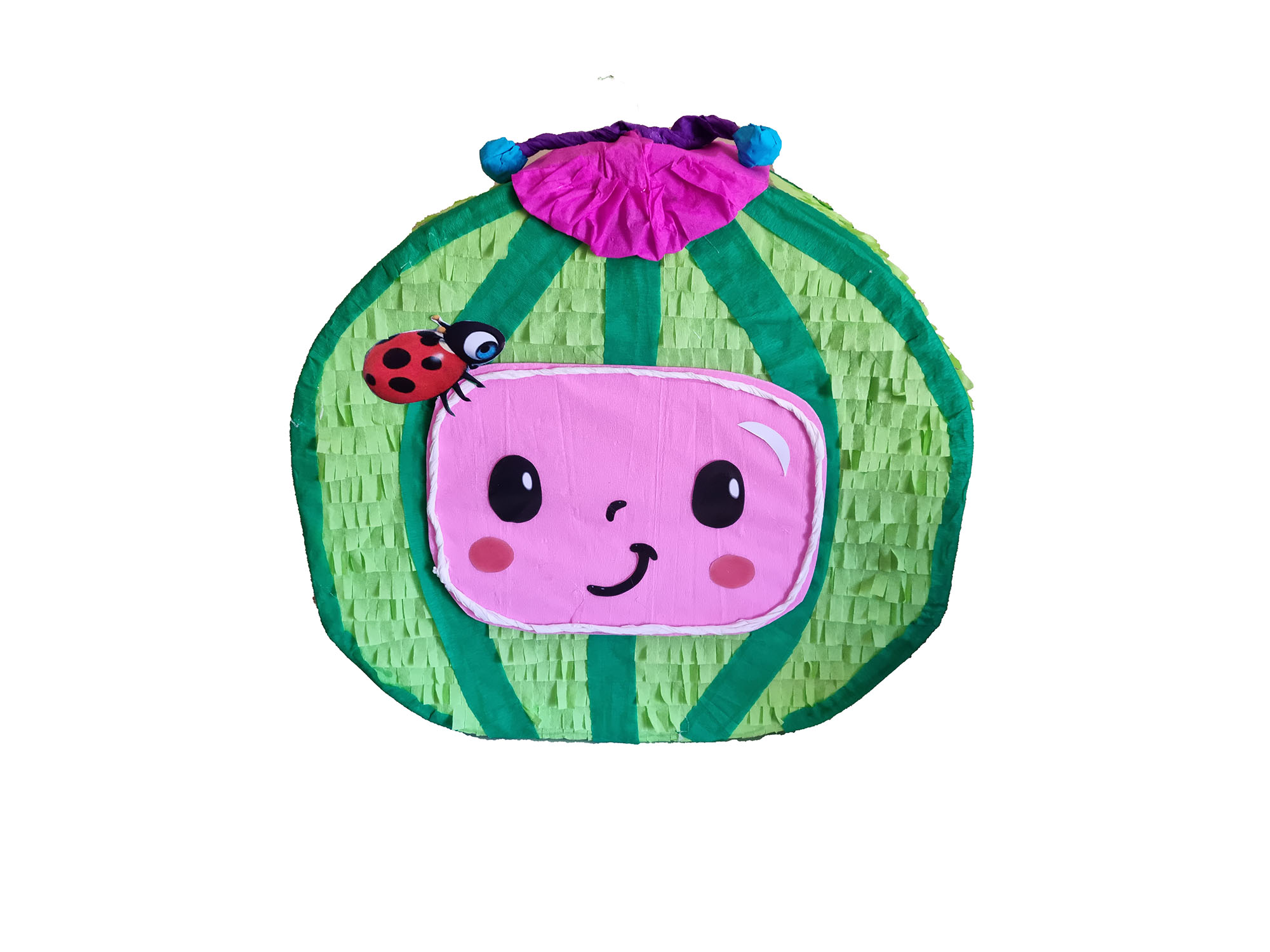 Coco Watermelon