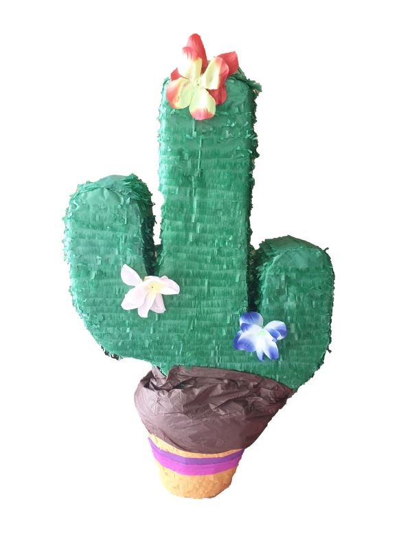 Mexican Cactus